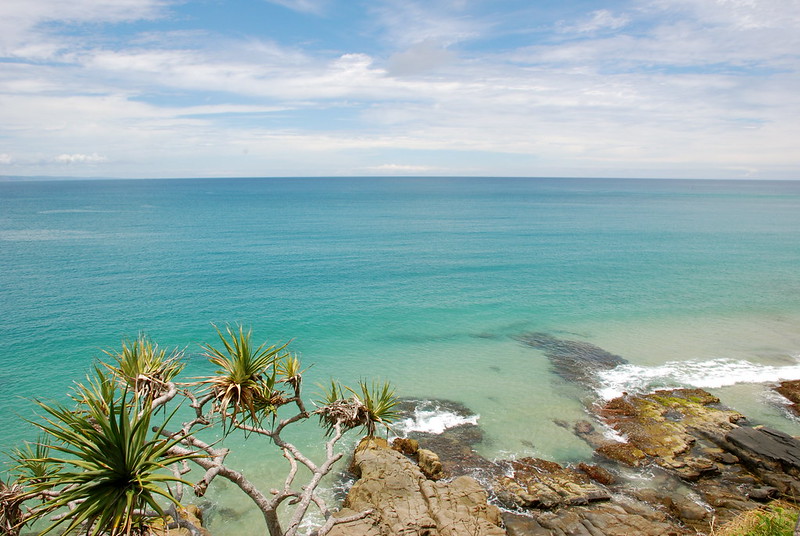 FITCare support on the Sunshine Coast — local activity with participants and Support Workers